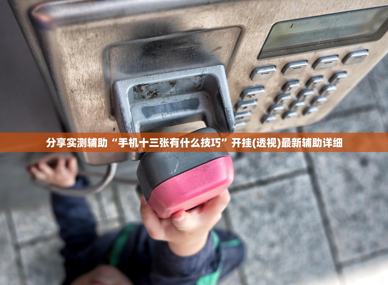 分享实测辅助“手机十三张有什么技巧”开挂(透视)最新辅助详细