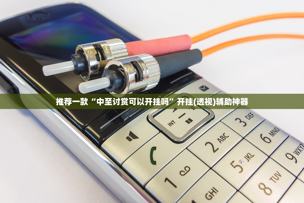 推荐一款“中至讨赏可以开挂吗	”开挂(透视)辅助神器