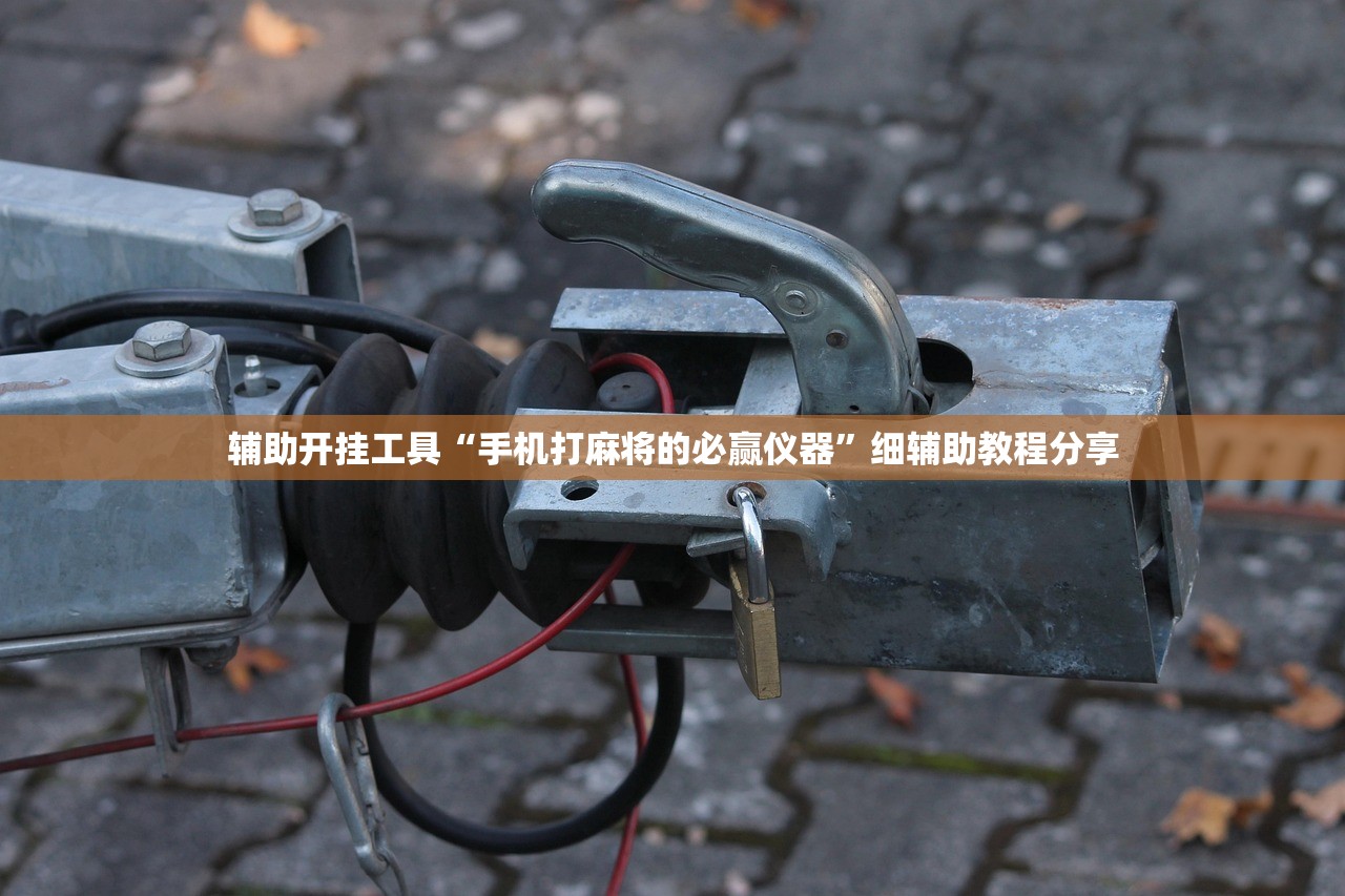 辅助开挂工具“手机打麻将的必赢仪器	”细辅助教程分享
