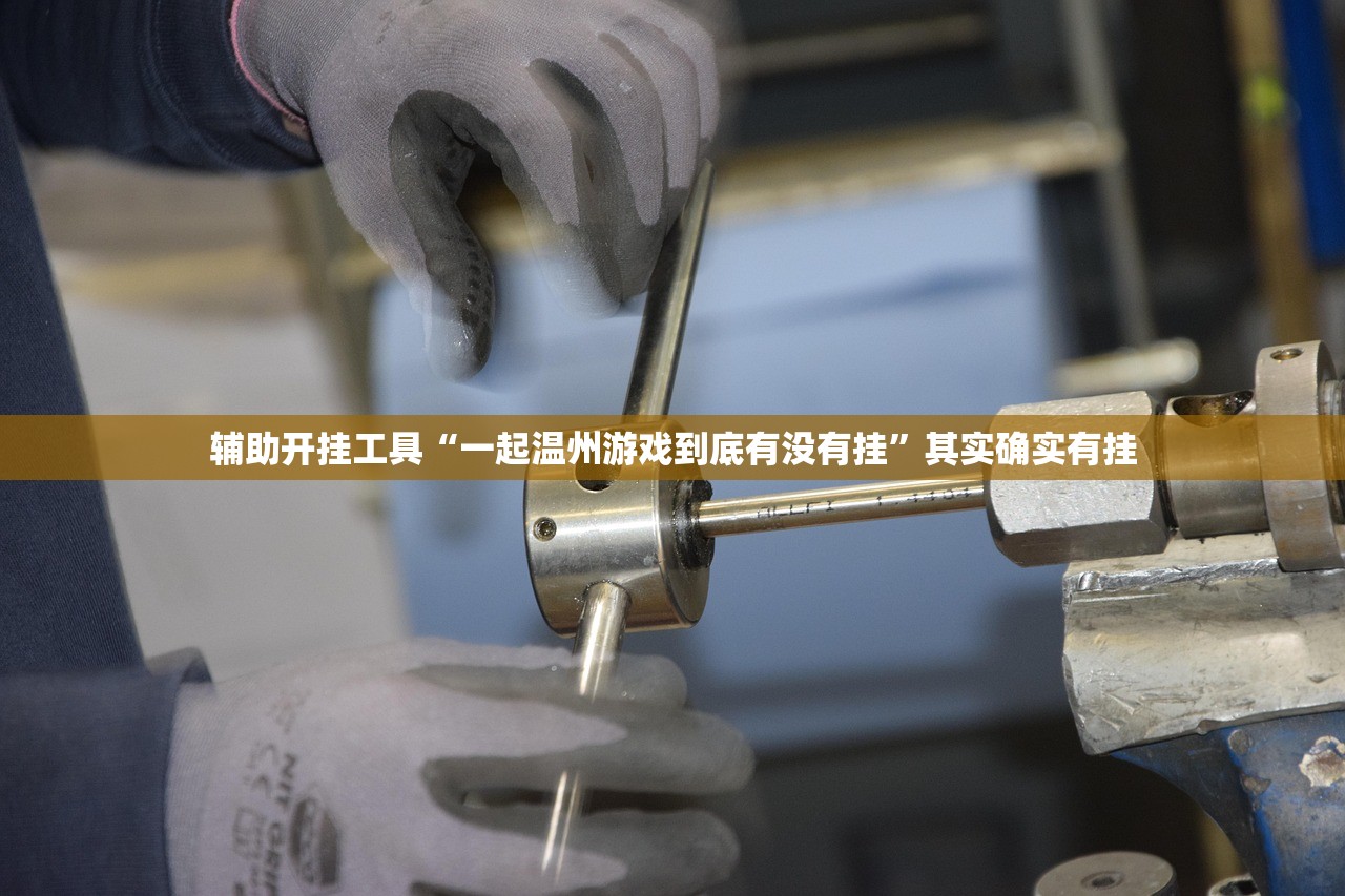 辅助开挂工具“一起温州游戏到底有没有挂”其实确实有挂