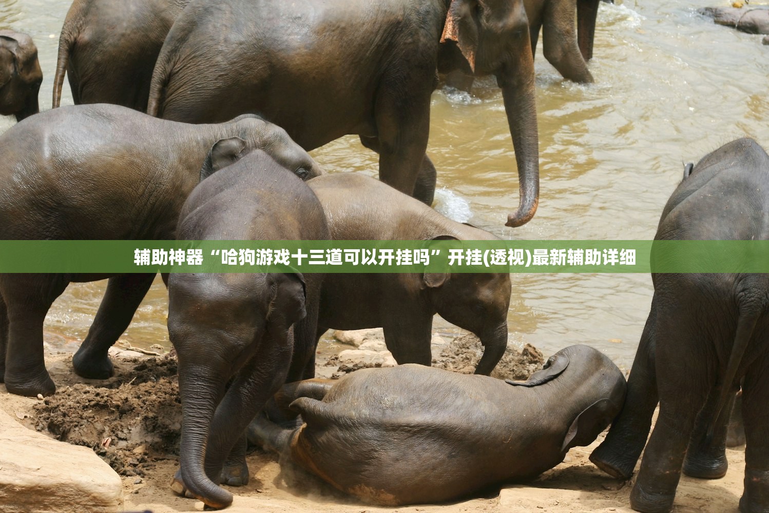 辅助神器“哈狗游戏十三道可以开挂吗”开挂(透视)最新辅助详细