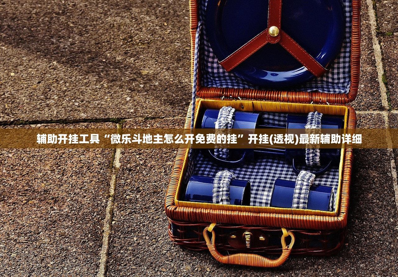 辅助开挂工具“微乐斗地主怎么开免费的挂”开挂(透视)最新辅助详细