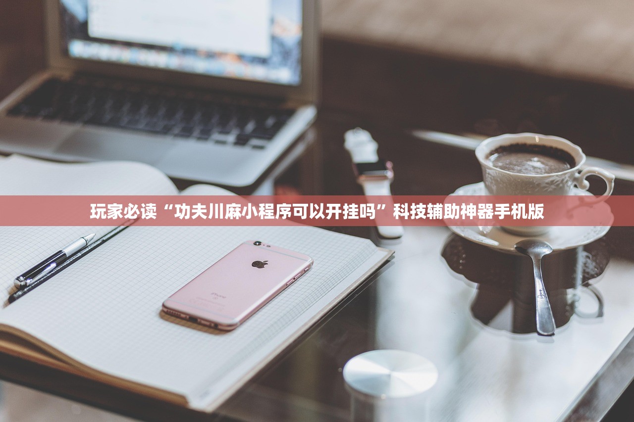 教程辅助!“微乐陕西挖坑开挂器”详细分享装挂步骤