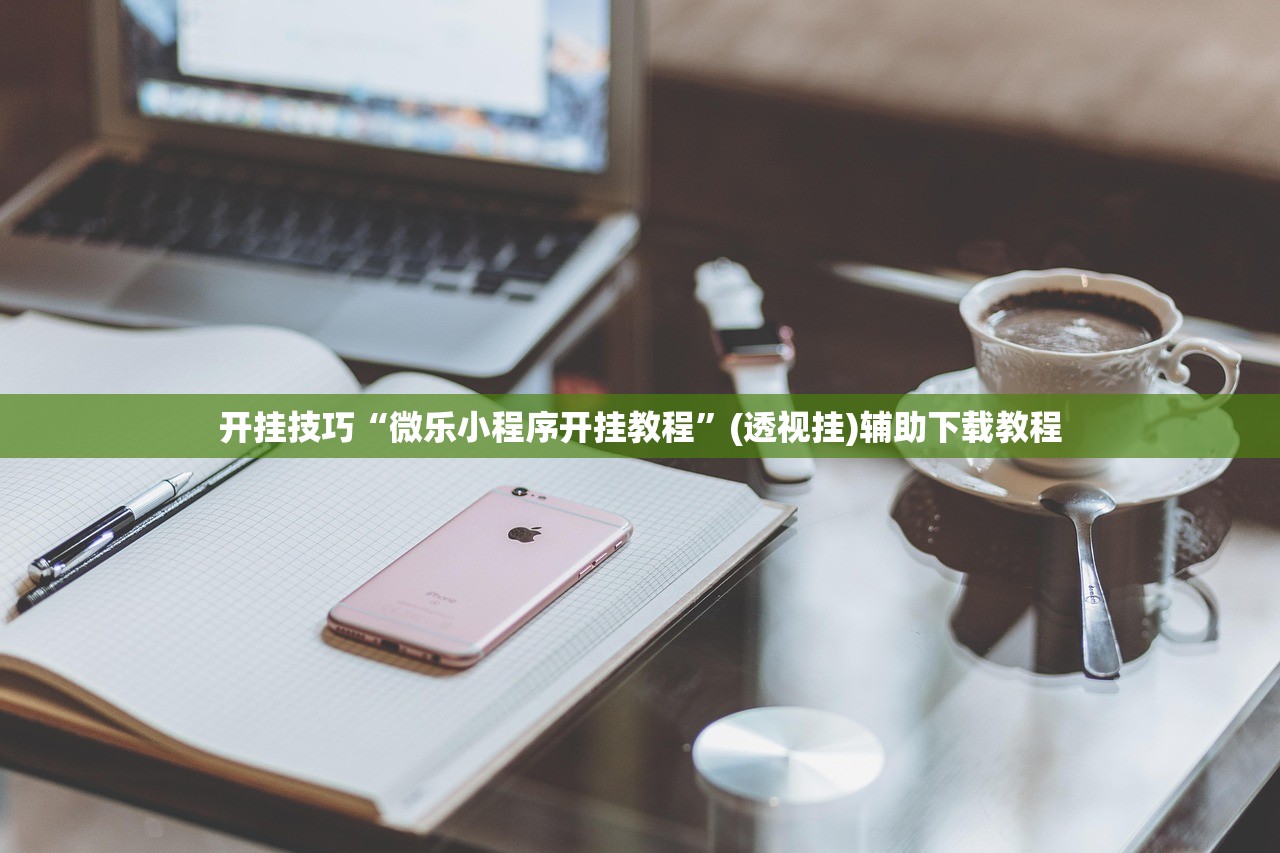开挂技巧“微乐小程序开挂教程”(透视挂)辅助下载教程