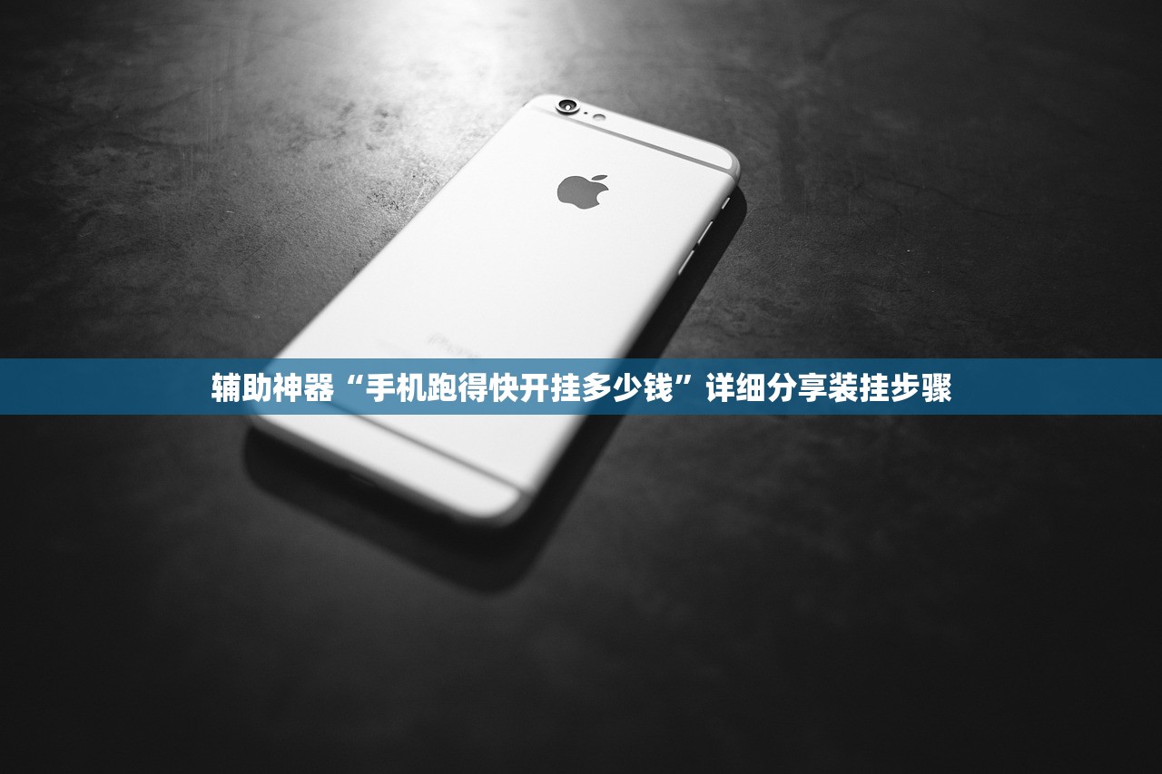 辅助神器“手机跑得快开挂多少钱”详细分享装挂步骤