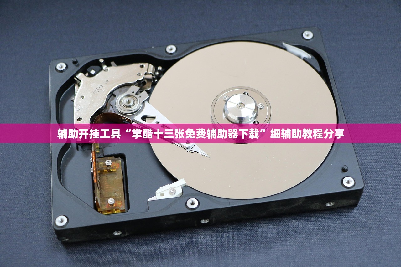 辅助开挂工具“掌酷十三张免费辅助器下载”细辅助教程分享