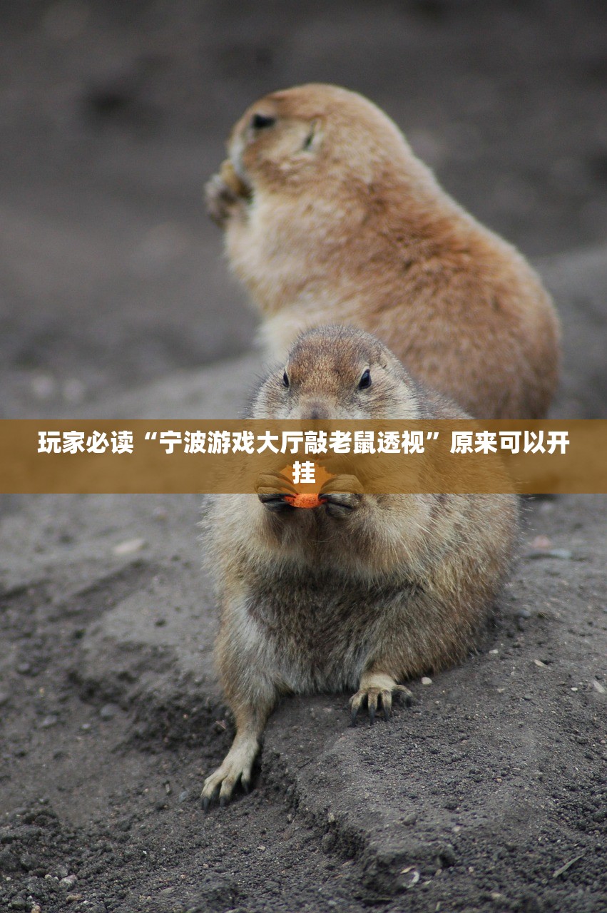 实测辅助“趣游天水麻将十三张有挂吗”开挂详细教程