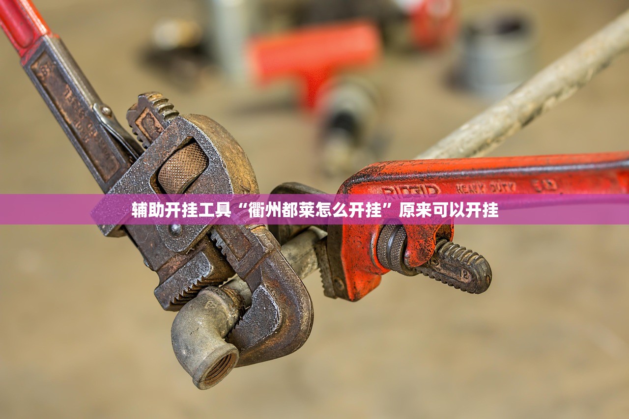 辅助开挂工具“衢州都莱怎么开挂”原来可以开挂