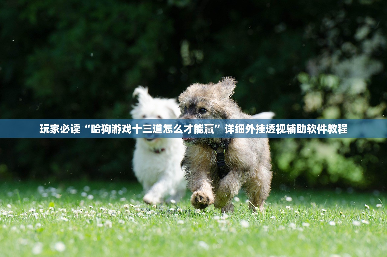 玩家辅助神器：多乐掼蛋怎么开挂”开挂(透视)最新辅助详细
