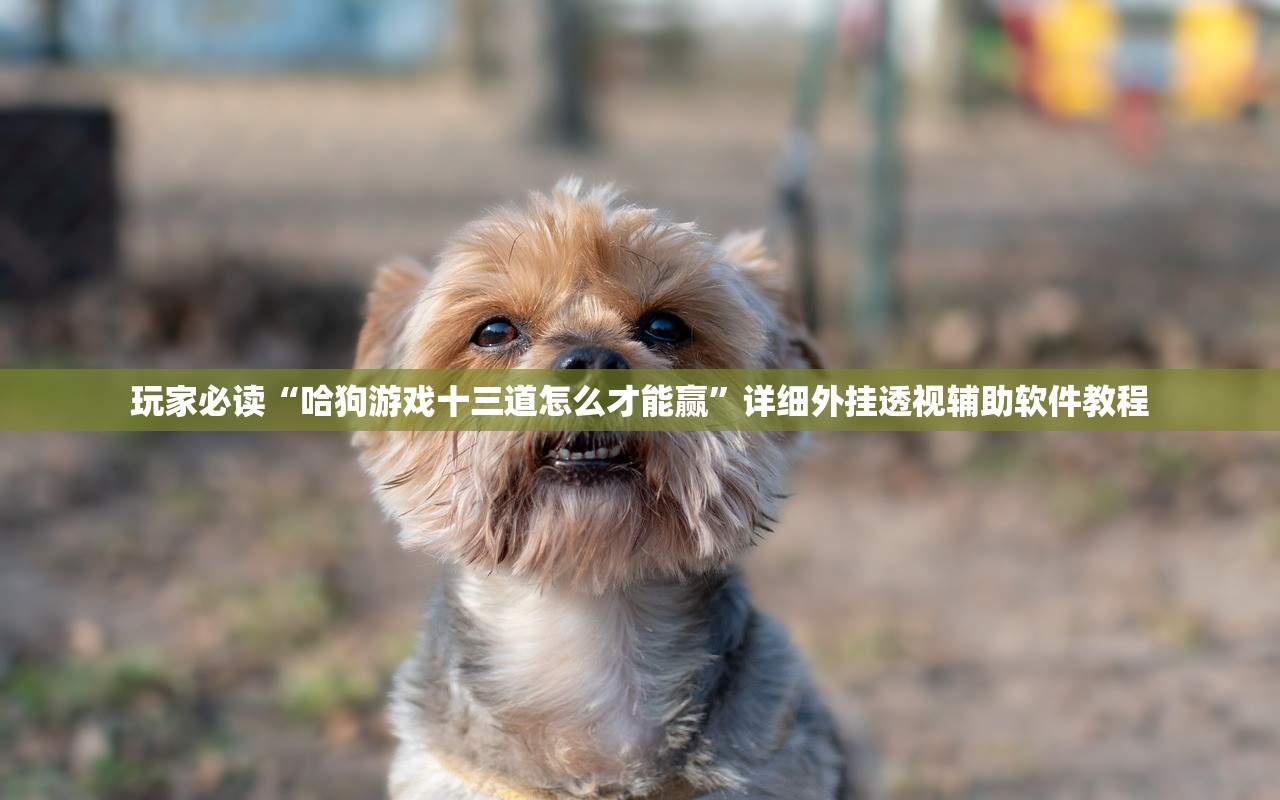 玩家必读“哈狗游戏十三道怎么才能赢”详细外挂透视辅助软件教程