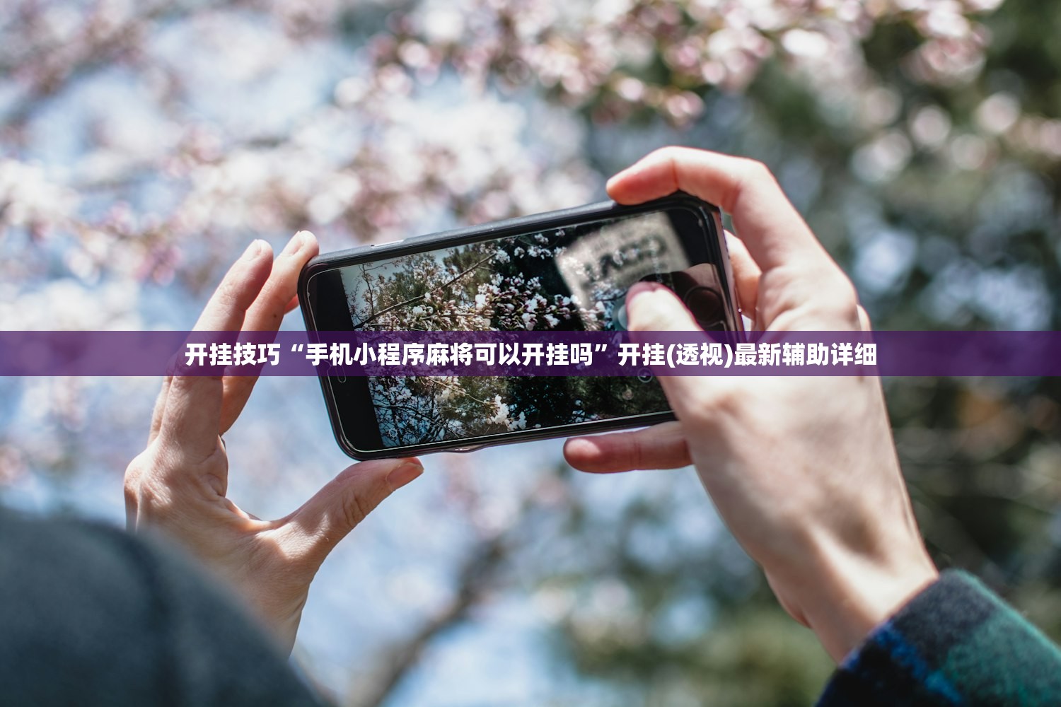 奥迪q8费用:奥迪q8费用及图片 报价最新