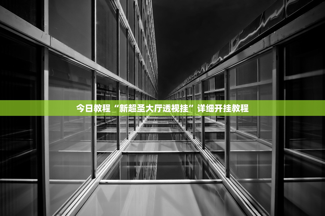 今日教程“新超圣大厅透视挂”详细开挂教程