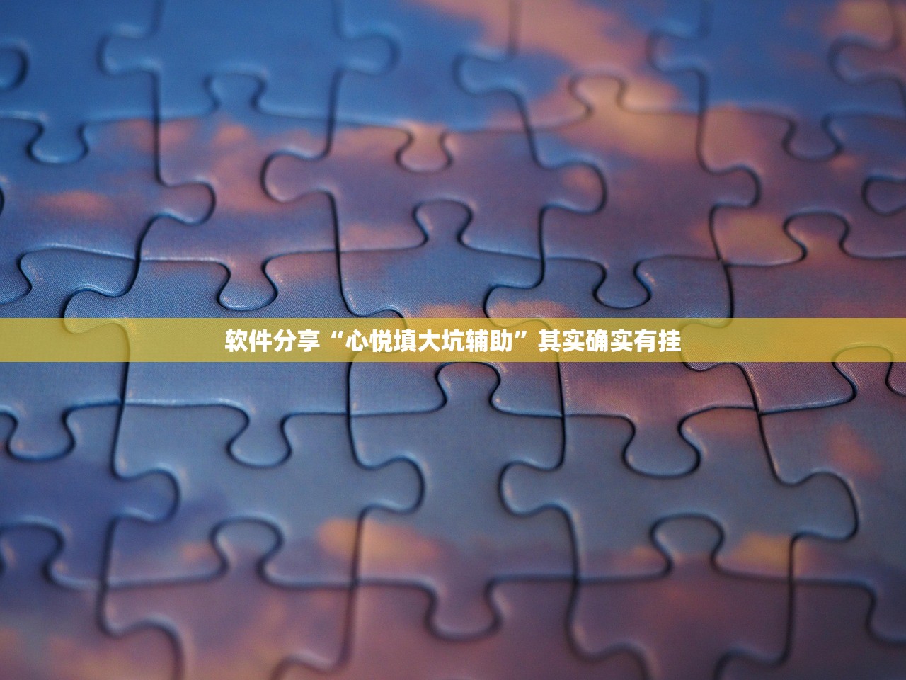 软件分享“心悦填大坑辅助	”其实确实有挂