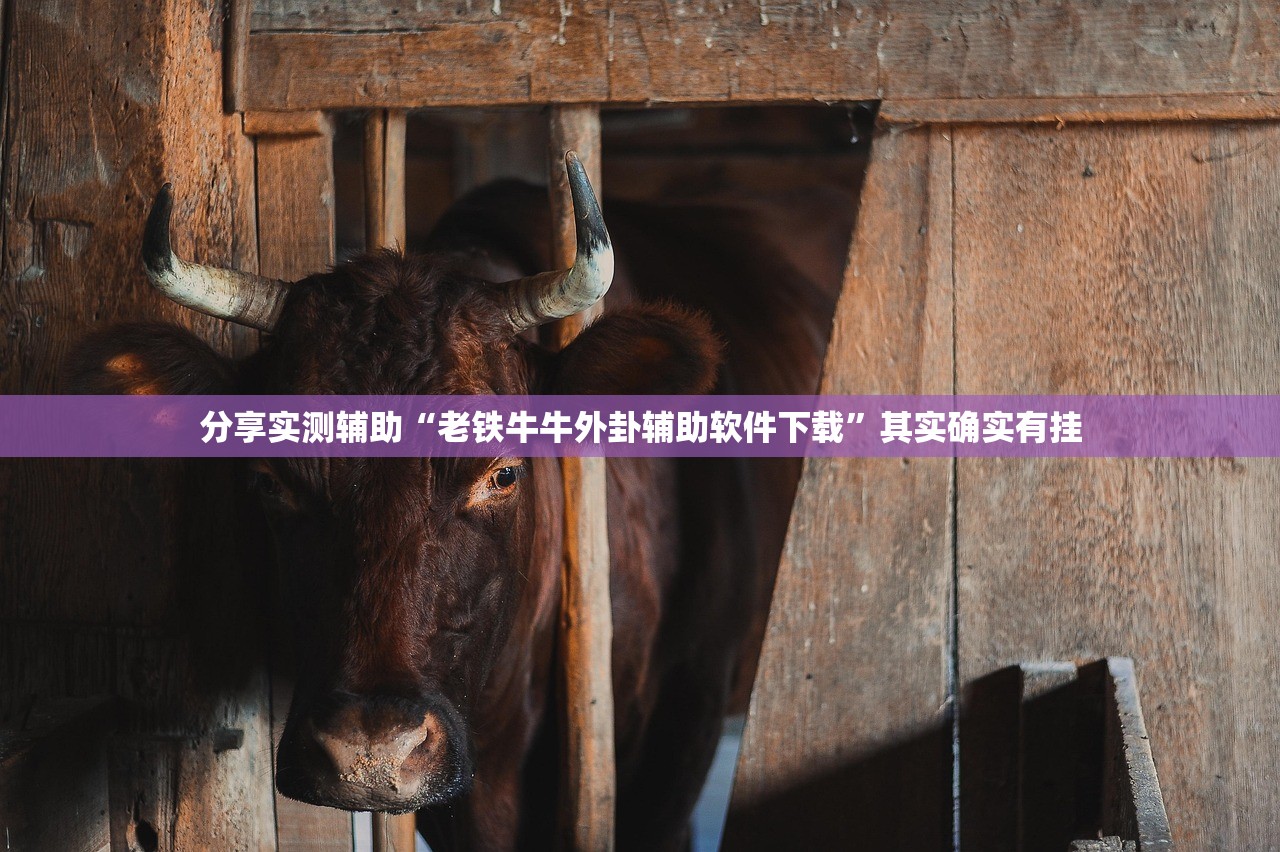 辅助开挂工具“微乐龙江麻将小程序挂”开挂(透视)辅助神器