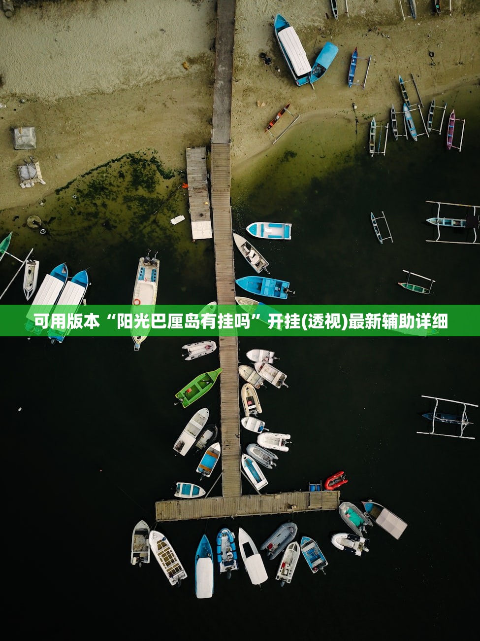 可用版本“阳光巴厘岛有挂吗”开挂(透视)最新辅助详细