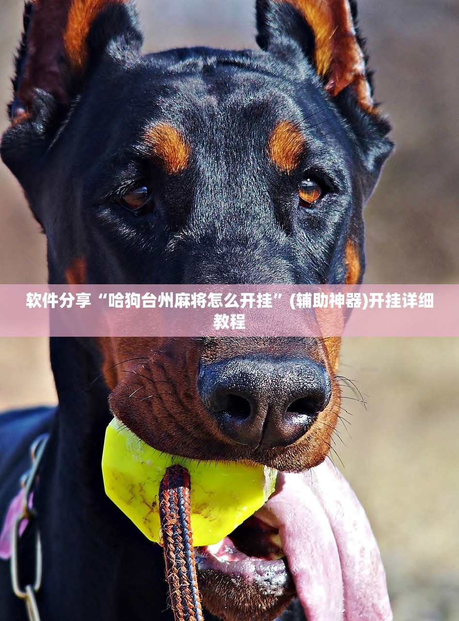 软件分享“哈狗台州麻将怎么开挂”(辅助神器)开挂详细教程