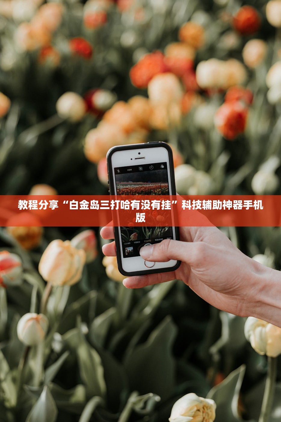玩家必读“羊城牌乐汇到底有没有挂”详细开挂教程