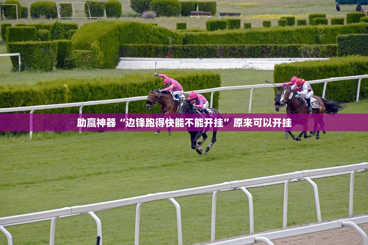助赢神器“边锋跑得快能不能开挂”原来可以开挂