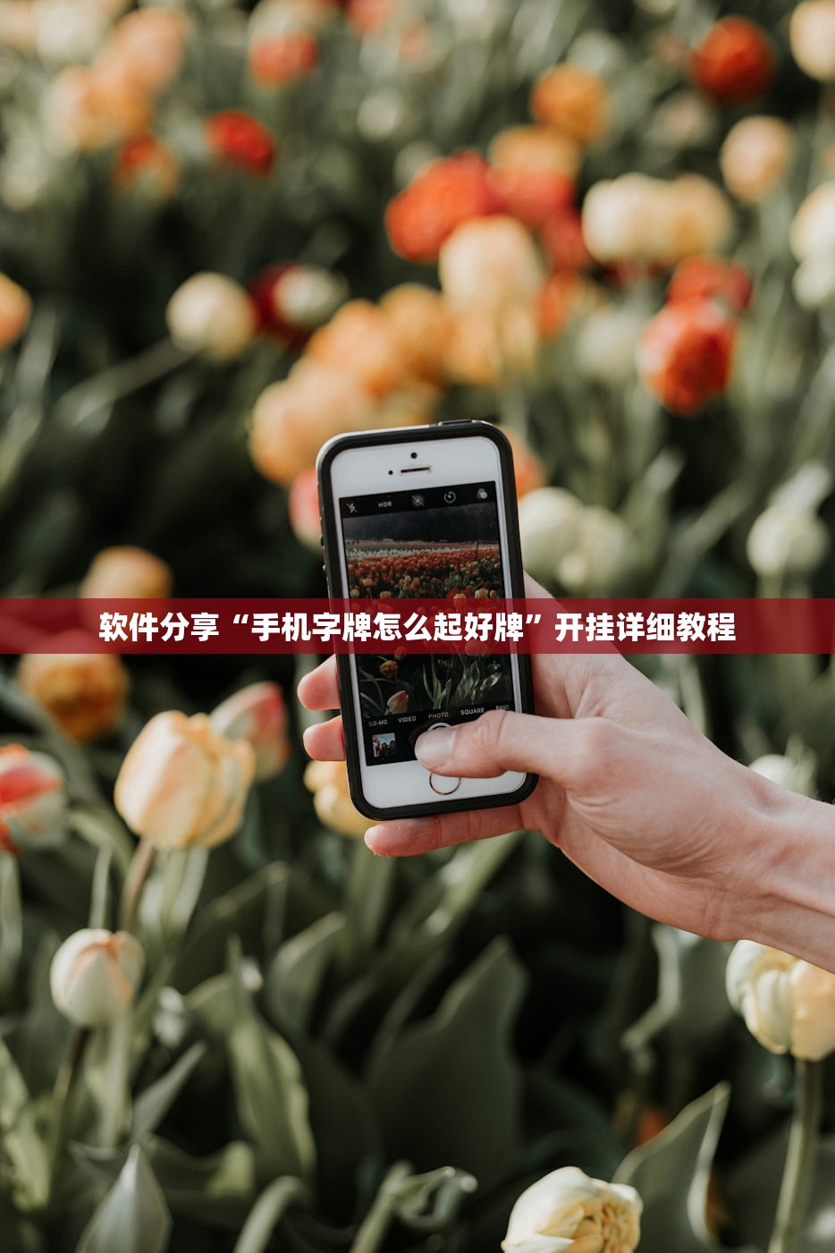 软件分享“手机字牌怎么起好牌”开挂详细教程