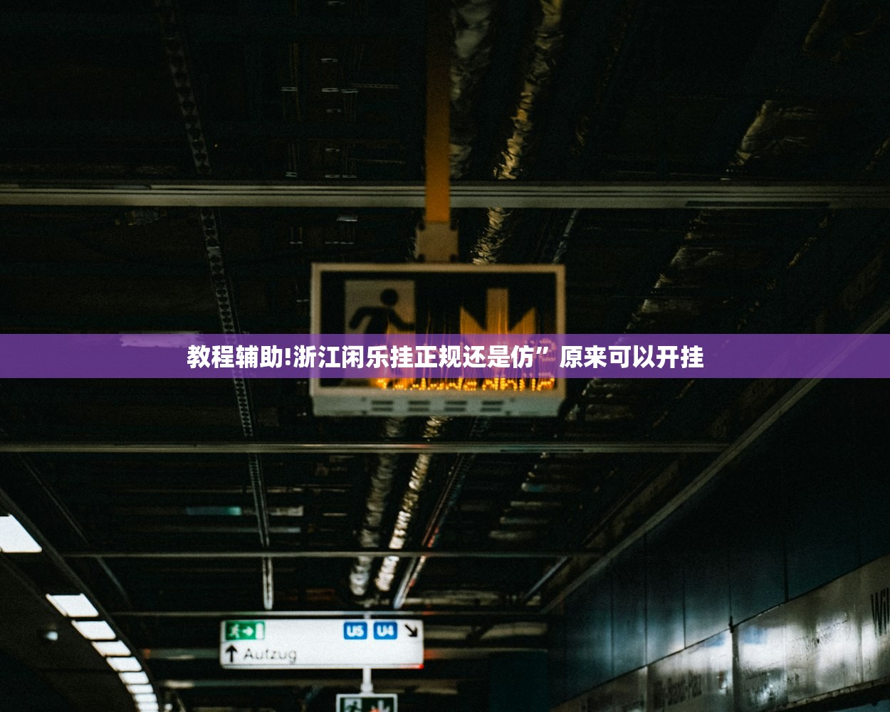 分享实测辅助“上品十三水怎么开挂”开挂(透视)最新辅助详细