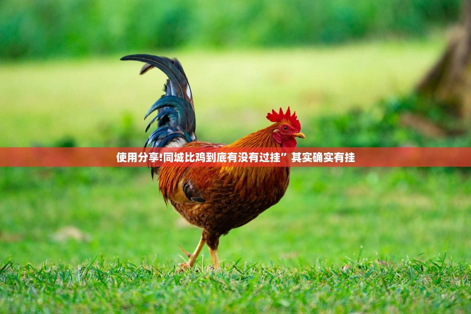 开挂辅助工具“玉溪娱乐室有挂吗”详细分享装挂步骤