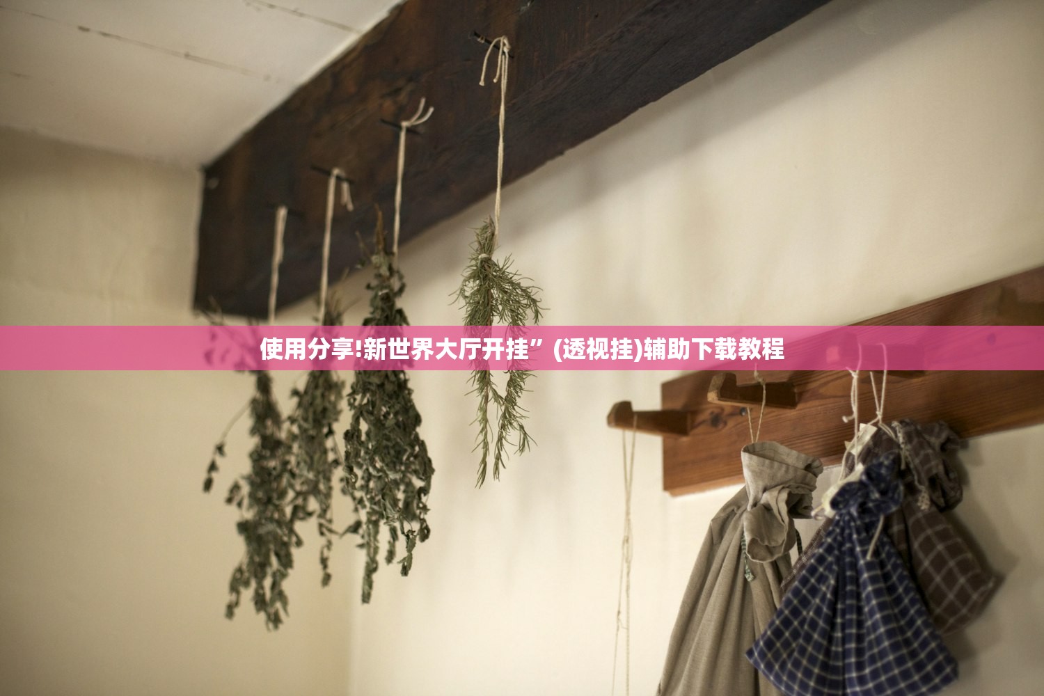 使用分享!新世界大厅开挂”(透视挂)辅助下载教程