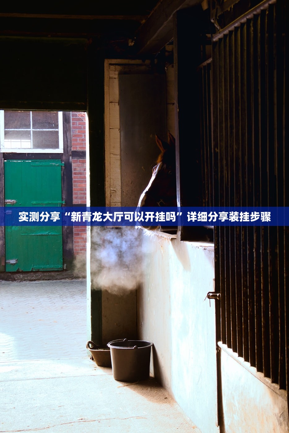 实测分享“新青龙大厅可以开挂吗”详细分享装挂步骤