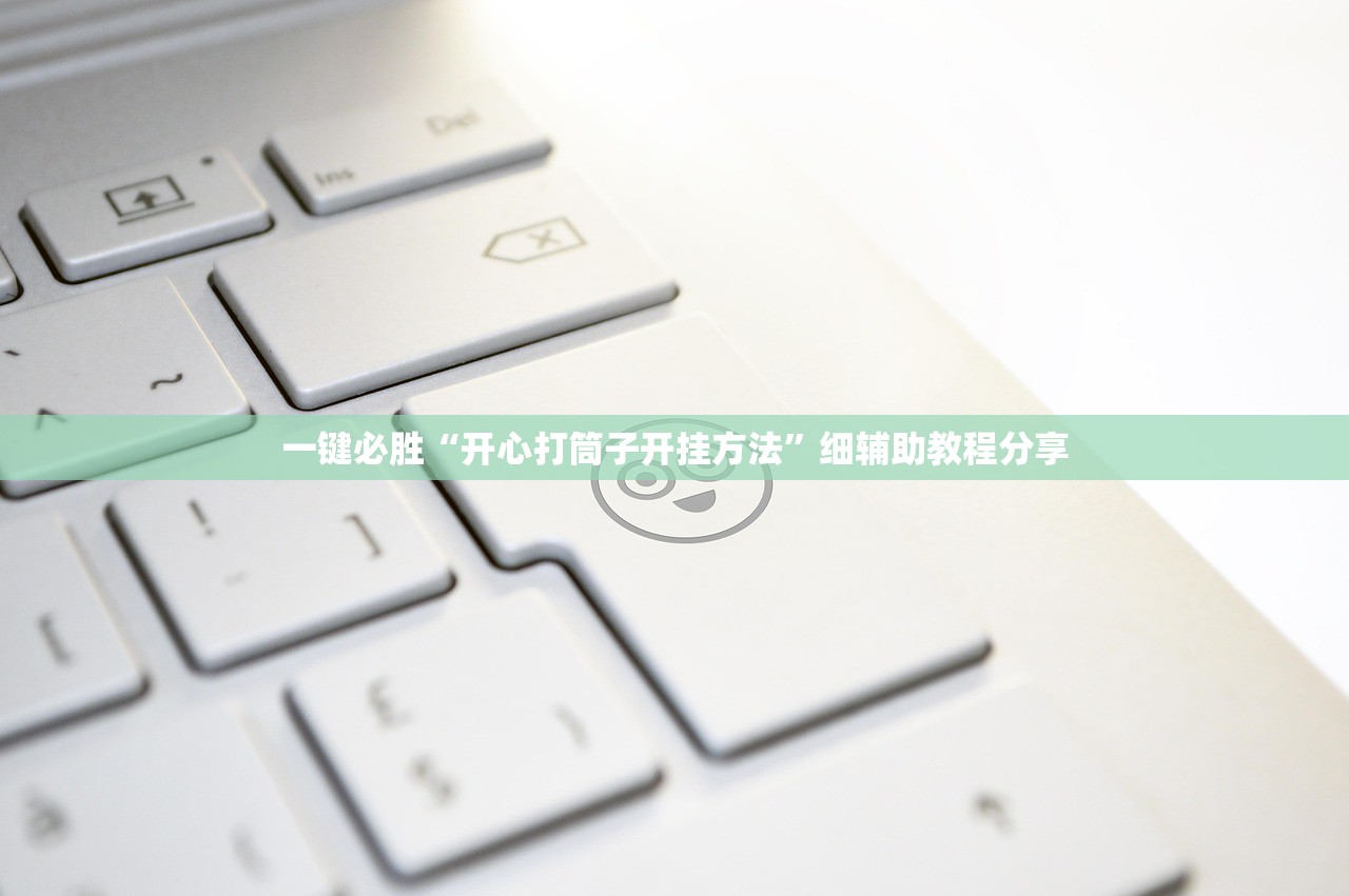 一键必胜“开心打筒子开挂方法”细辅助教程分享