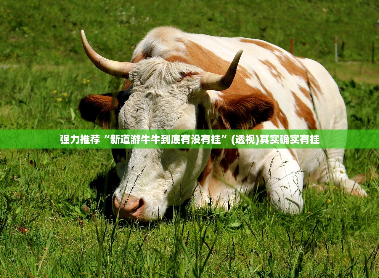 强力推荐“新道游牛牛到底有没有挂”(透视)其实确实有挂