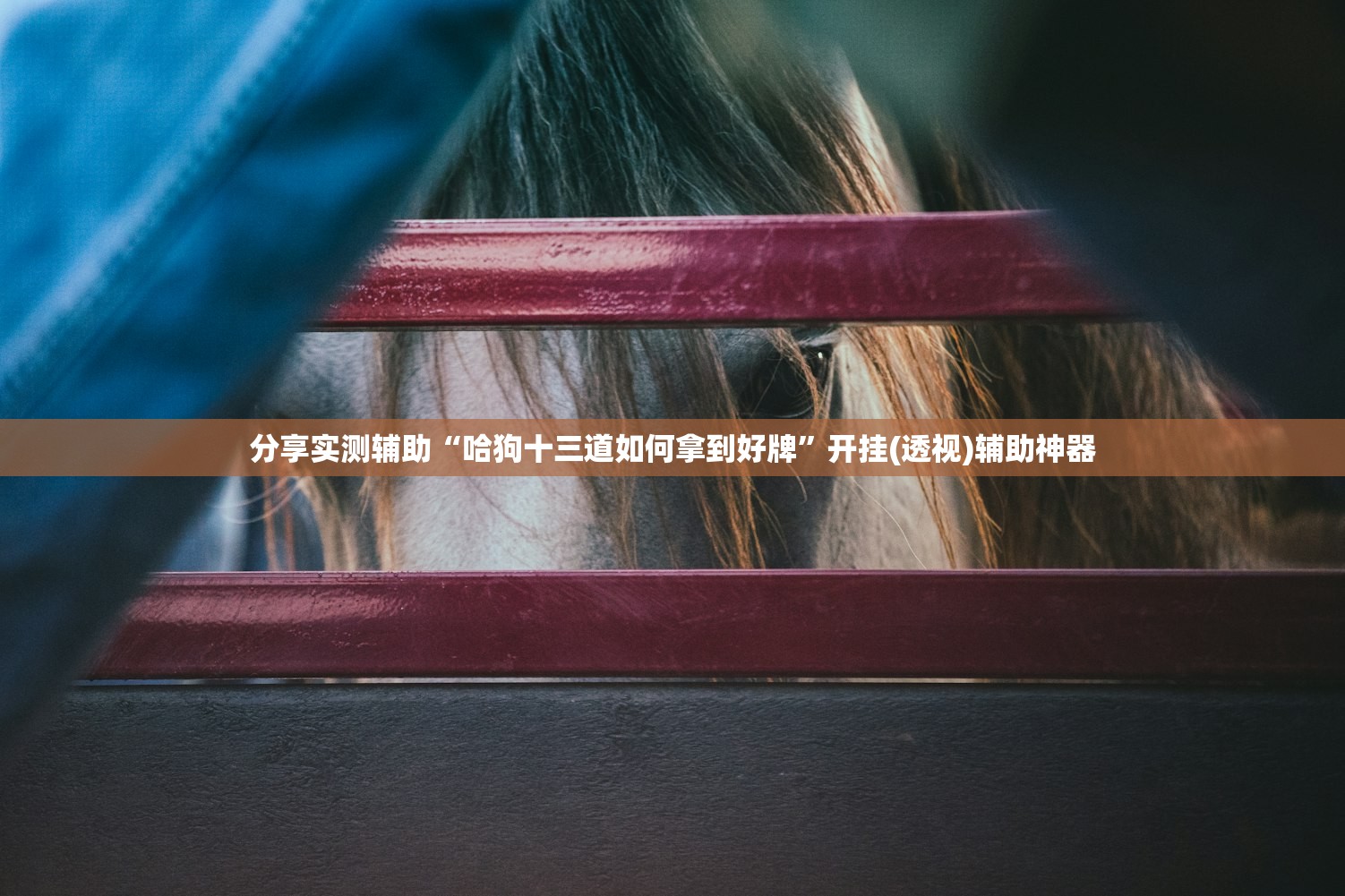 哈尔滨封城（哈尔滨封城2021）