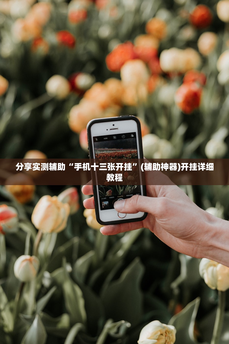【2018年新款起亚两厢,起亚18年的新款】