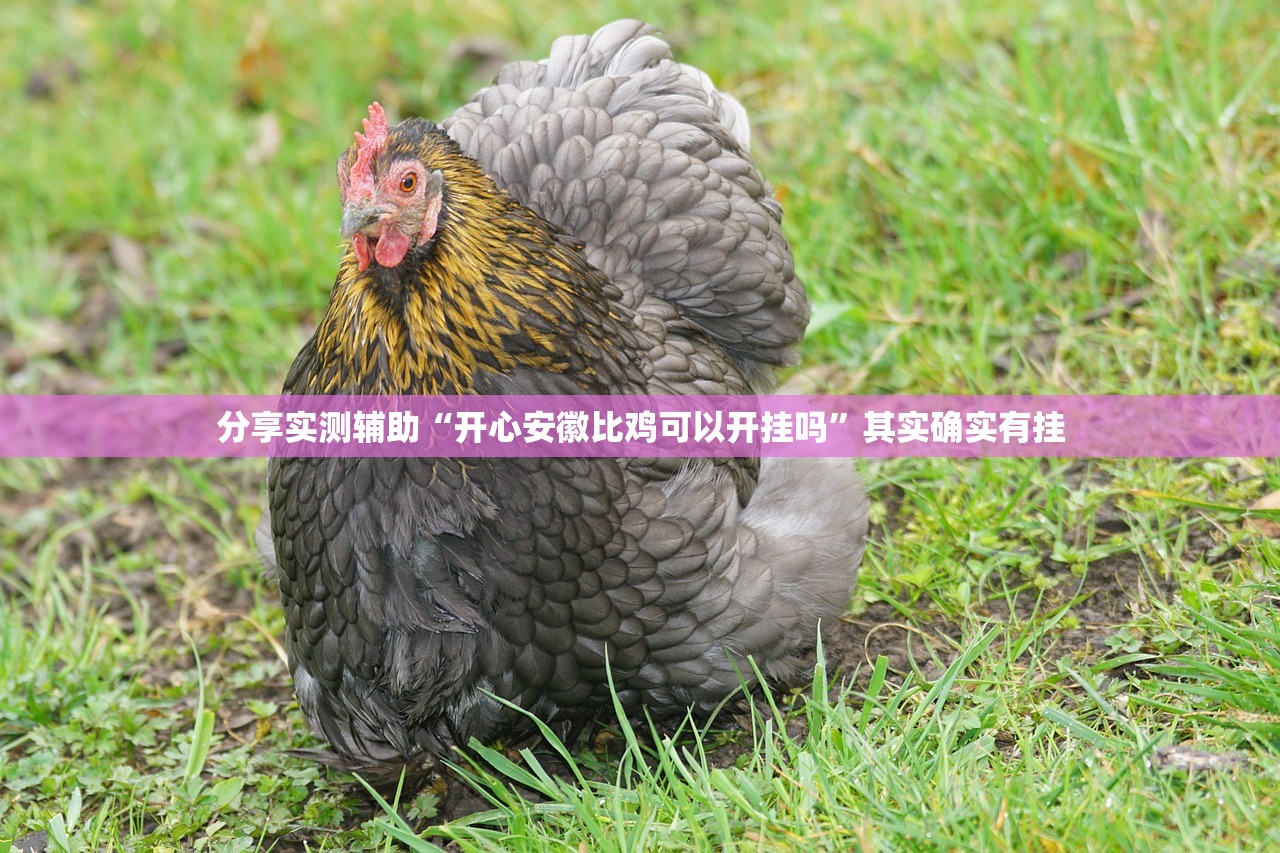 分享实测辅助“开心安徽比鸡可以开挂吗”其实确实有挂
