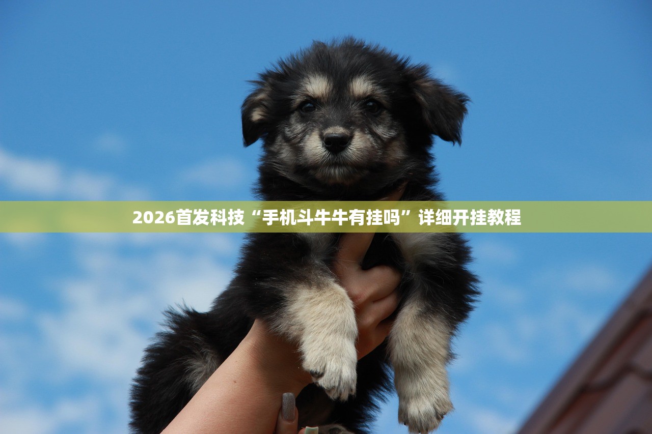 南宁大道高架限行不（南宁有高架吗）