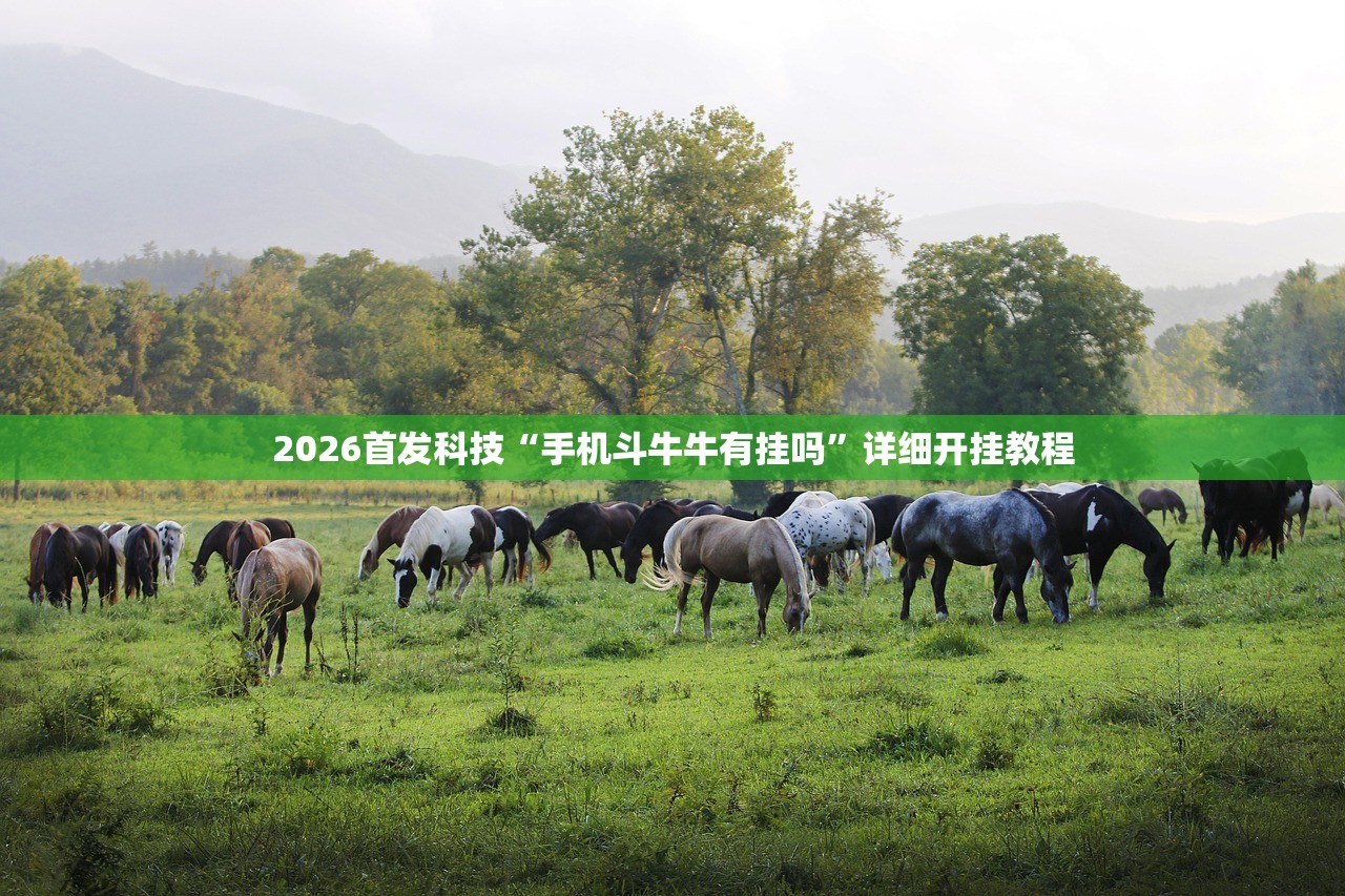 2026首发科技“手机斗牛牛有挂吗”详细开挂教程