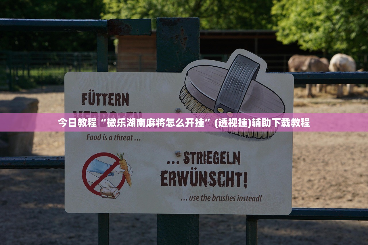 必备科技“四川乐乐麻将有挂吗”(透视)其实确实有挂