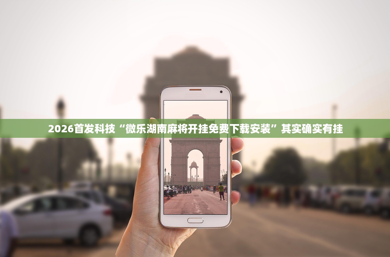 教程分享“心悦填大坑挂怎么下载”详细开挂教程