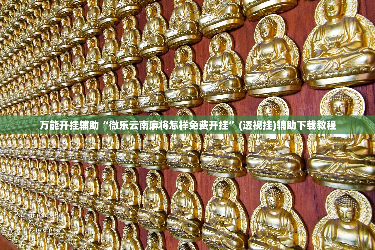 万能开挂辅助“微乐云南麻将怎样免费开挂	”(透视挂)辅助下载教程