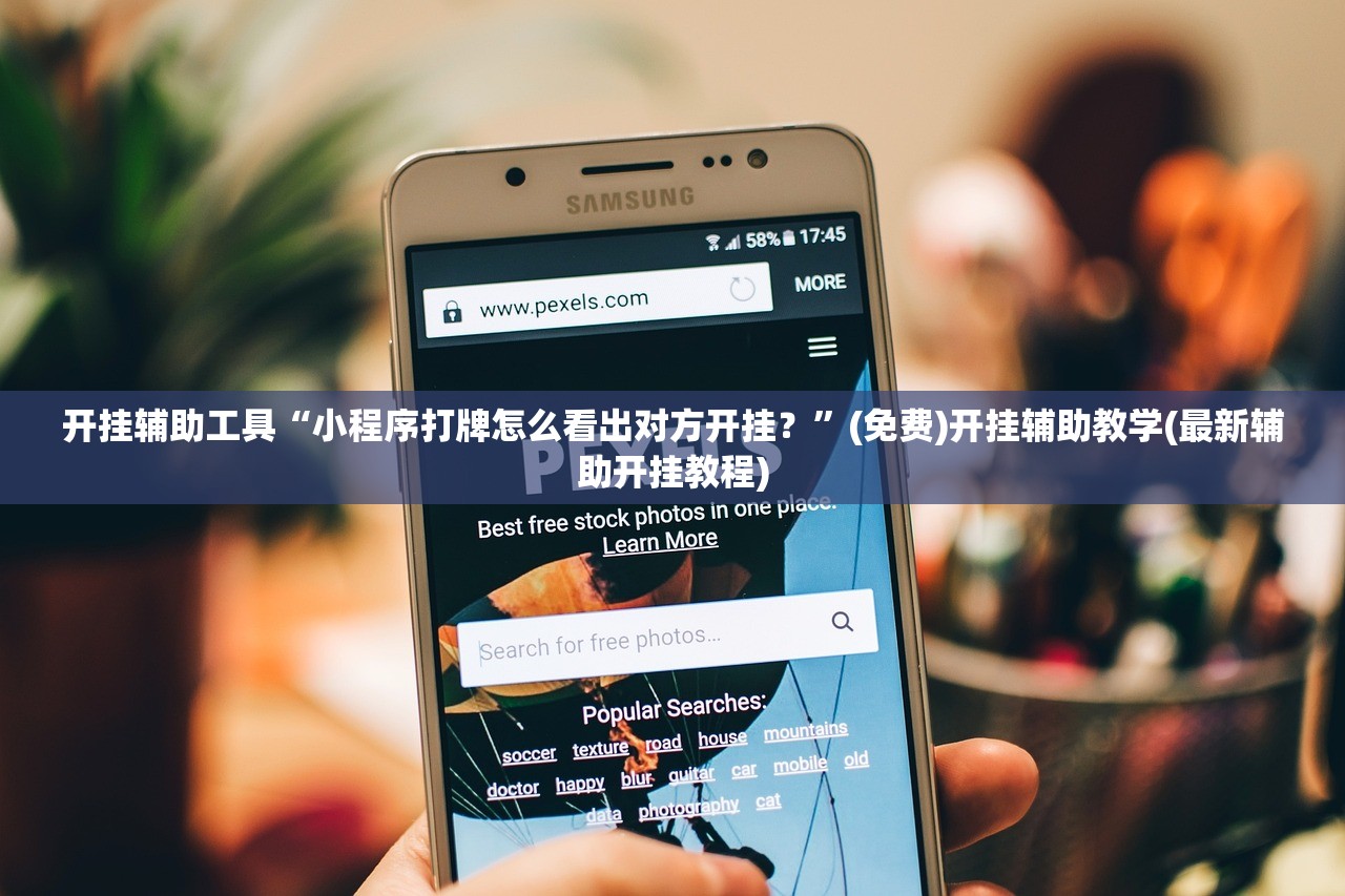 教程辅助!“微乐锄大地开挂辅助器通用版”详细外挂透视辅助软件教程