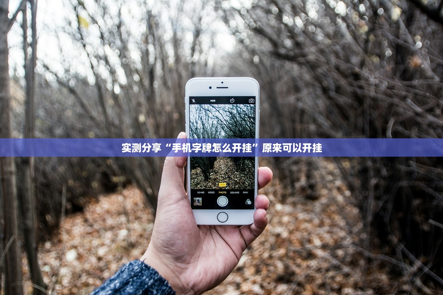 实测分享“手机字牌怎么开挂”原来可以开挂