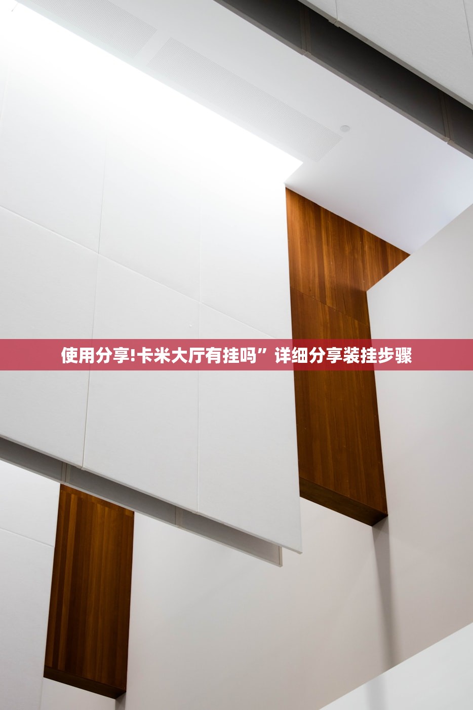 使用分享!卡米大厅有挂吗”详细分享装挂步骤