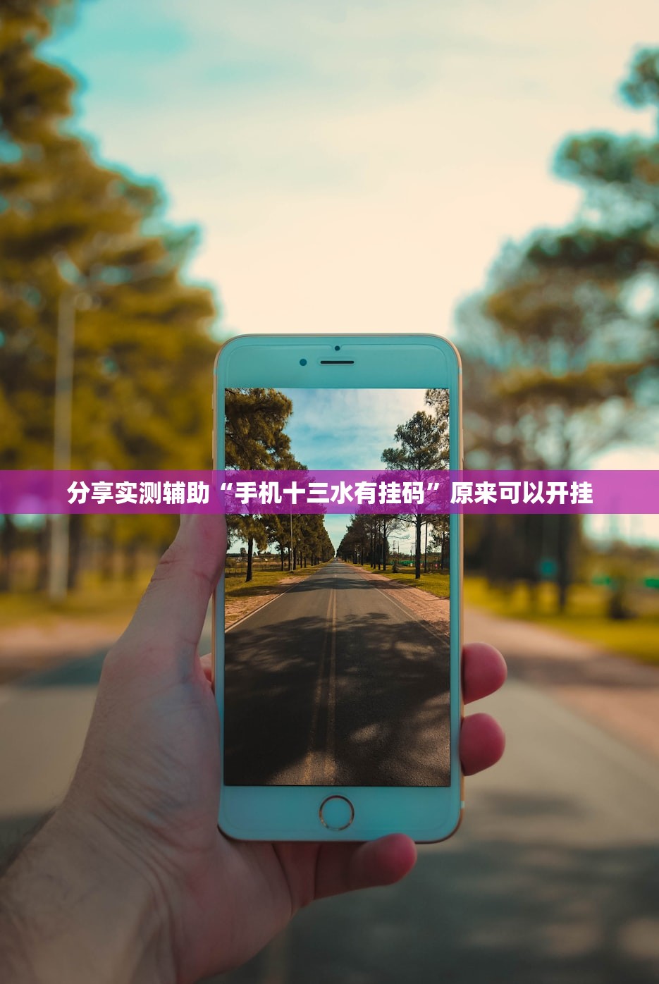 分享实测辅助“手机十三水有挂码”原来可以开挂