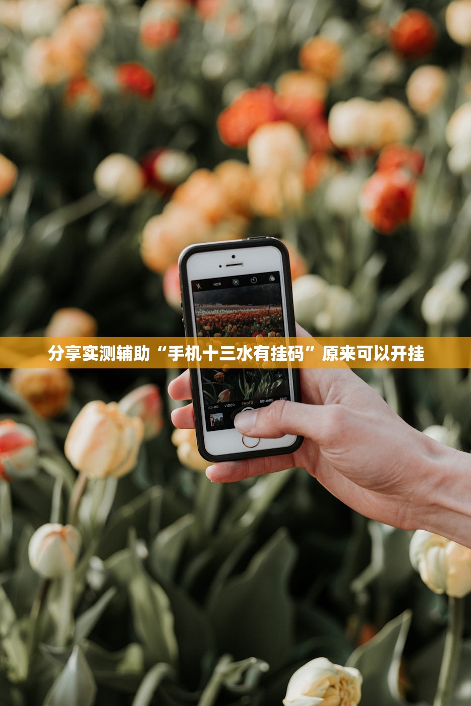 上海新增两个中风险地区/上海一地区调整为中风险