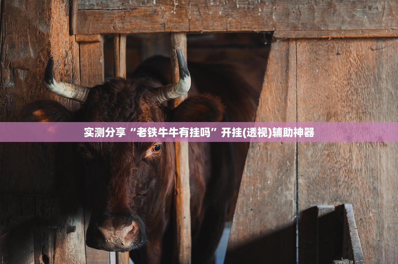 荆门散养户90%的猪都死了?假:湖北荆门种猪养殖场地