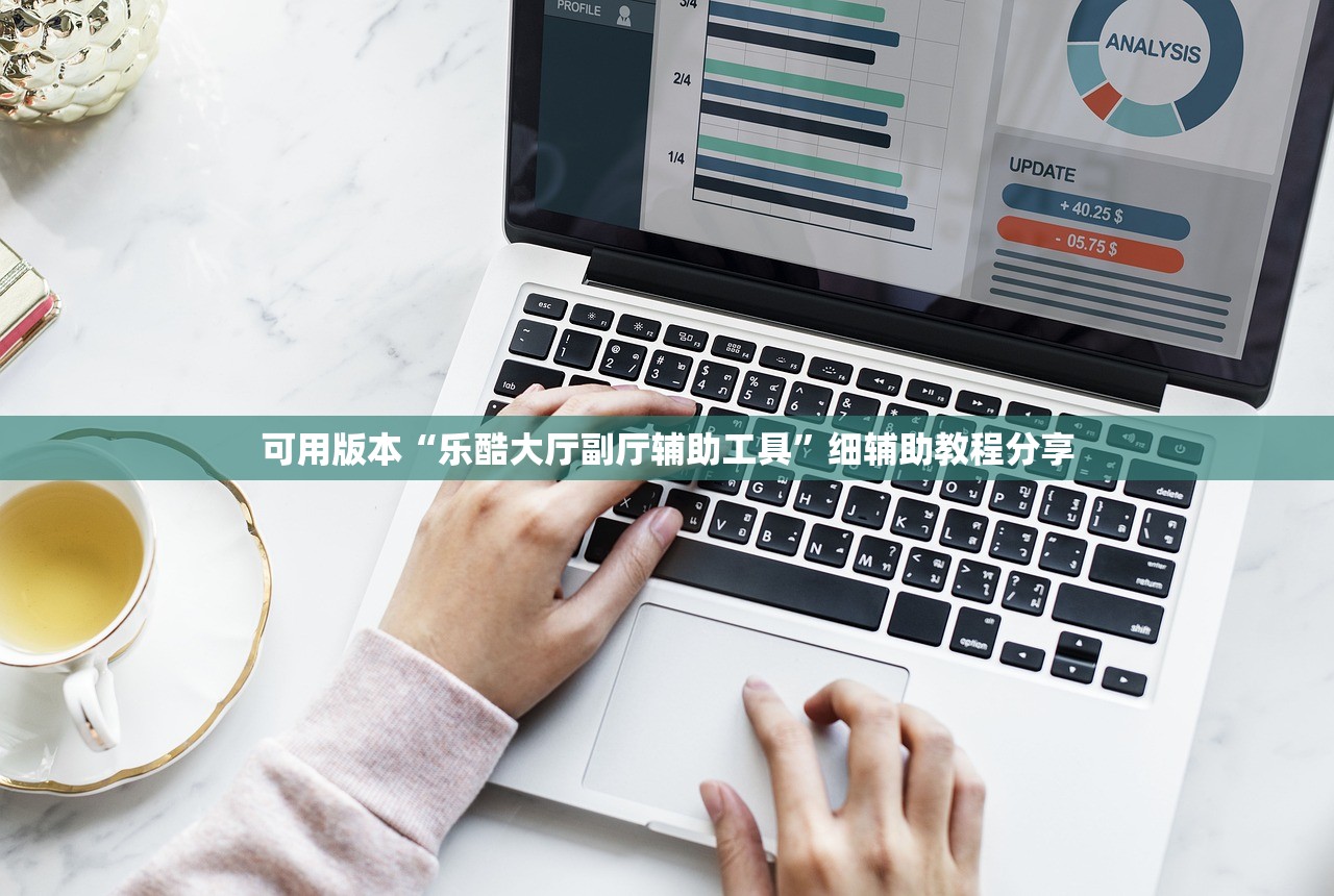 可用版本“乐酷大厅副厅辅助工具”细辅助教程分享